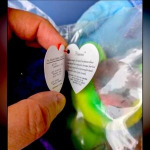 Over a 100 TY Beanie Babies